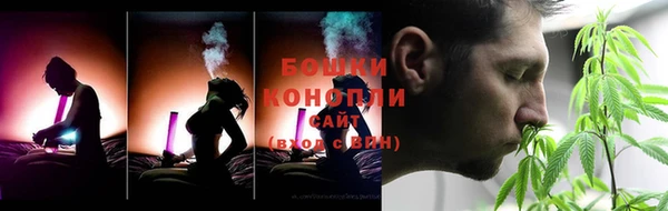 бошки Белокуриха