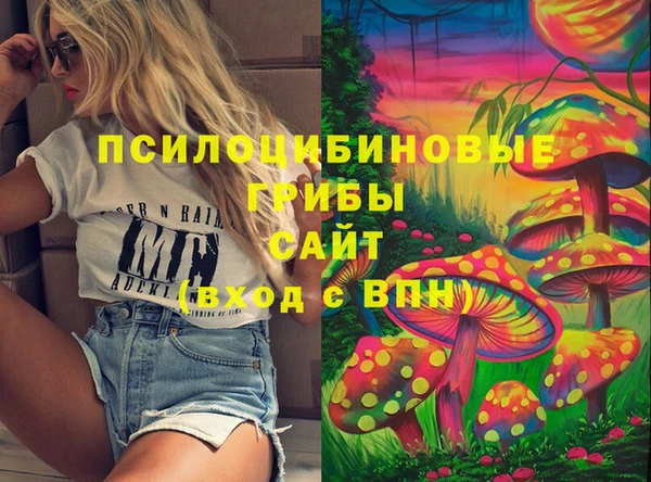 прущие крисы Белоозёрский