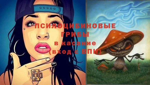 прущие крисы Белоозёрский